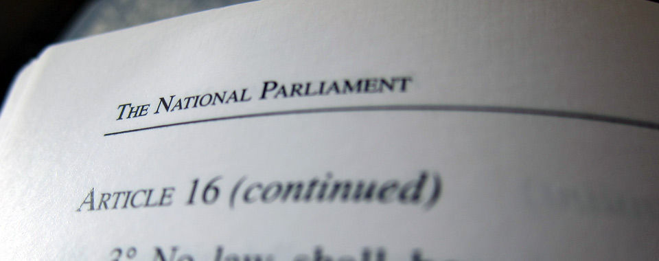 Constitution by Mike Liffey