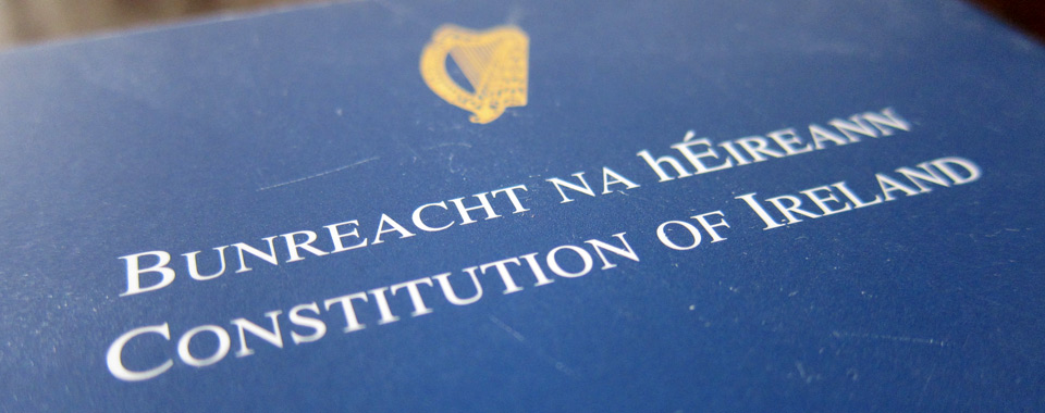 Constitution by Mike Liffey